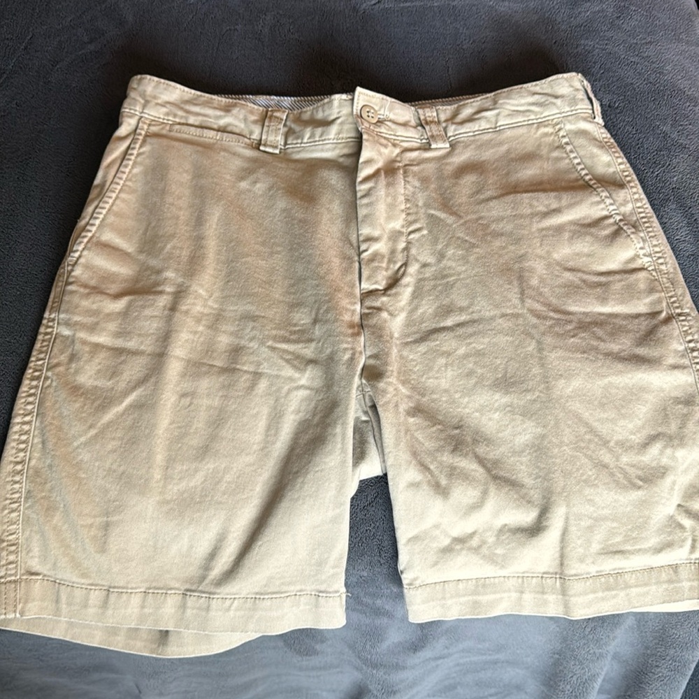 Daniel Cremieux Tan Men's Shorts